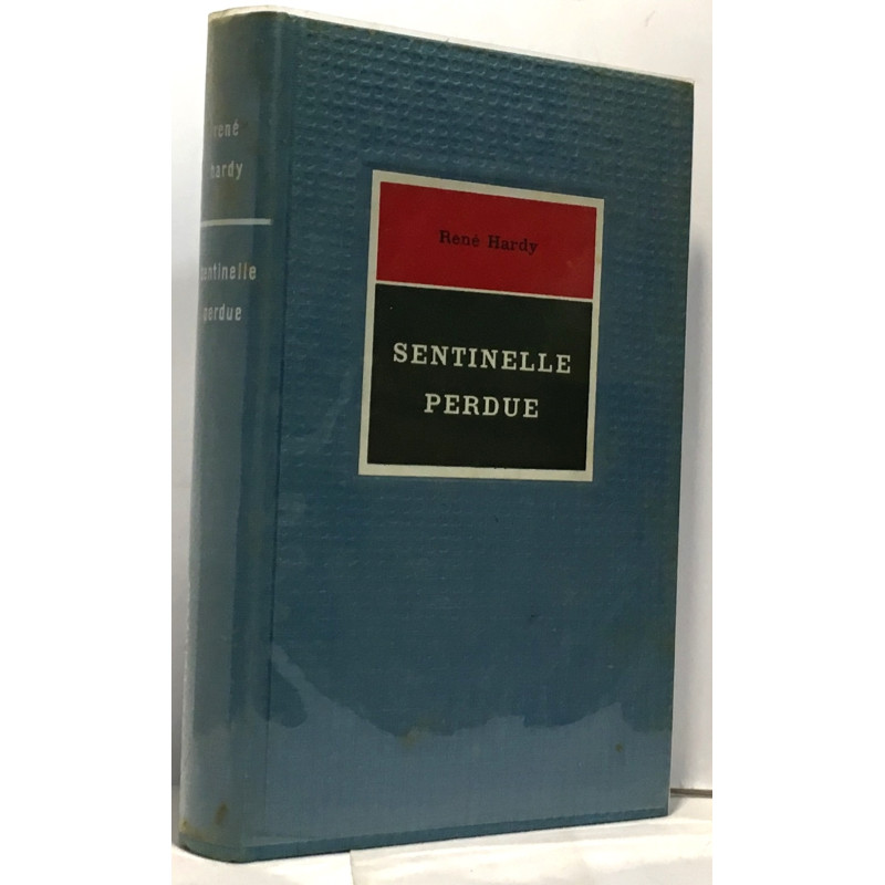 Sentinelle perdue