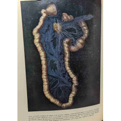 Histoire illustrée de la biologie