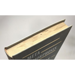 Métamorphoses du roman