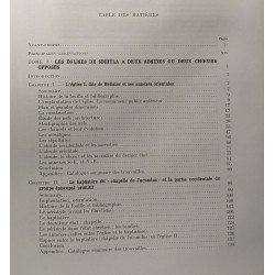 Les églises africaines à deux absides: Les Basilitques de Sbeitla...