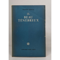 Un beau ténébreux
