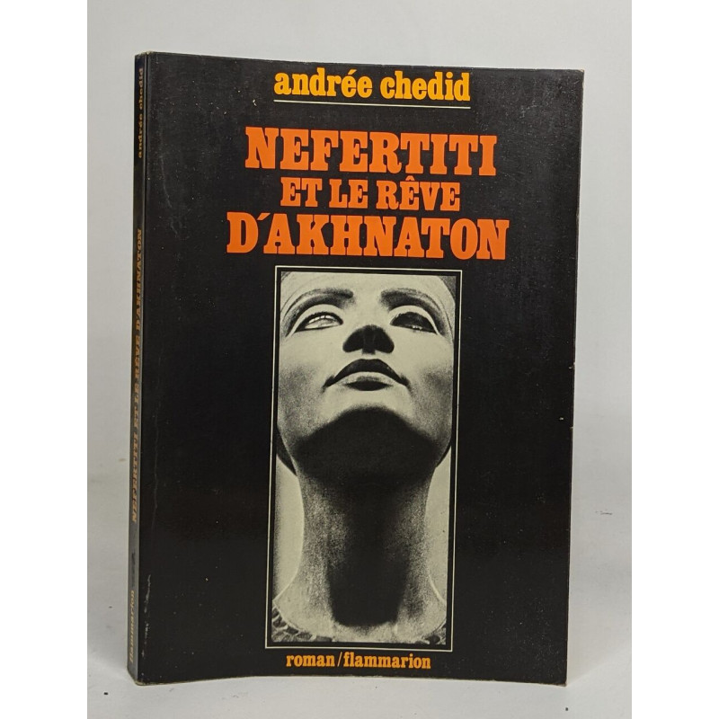 Nefertiti et le rêve d'akhnaton - les mémoires d'un scribe