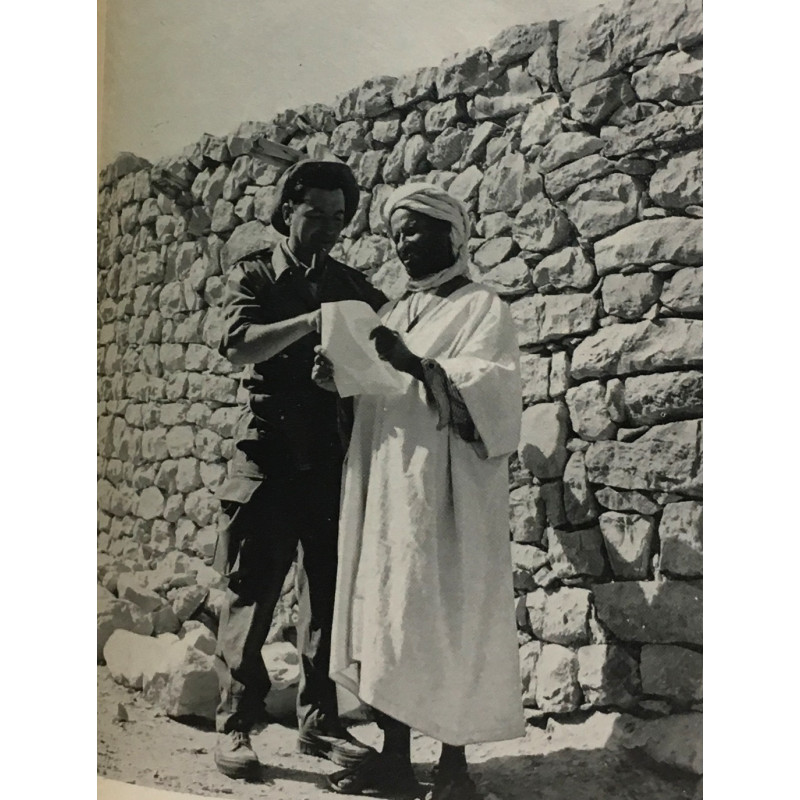 S.O.S Algérie