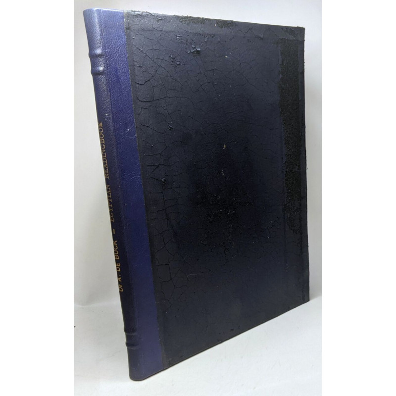 Egyptian readingbook - exercices and middle egyptian textes...