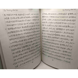 Egyptian readingbook - exercices and middle egyptian textes...