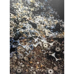 Rooms + Trop --- 2 volumes