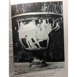 Guide du musée d'Ensérvne