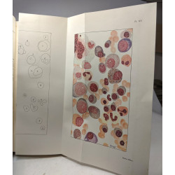 Les diagnostics biologiques et fonctionnels - 230 figures et 20...