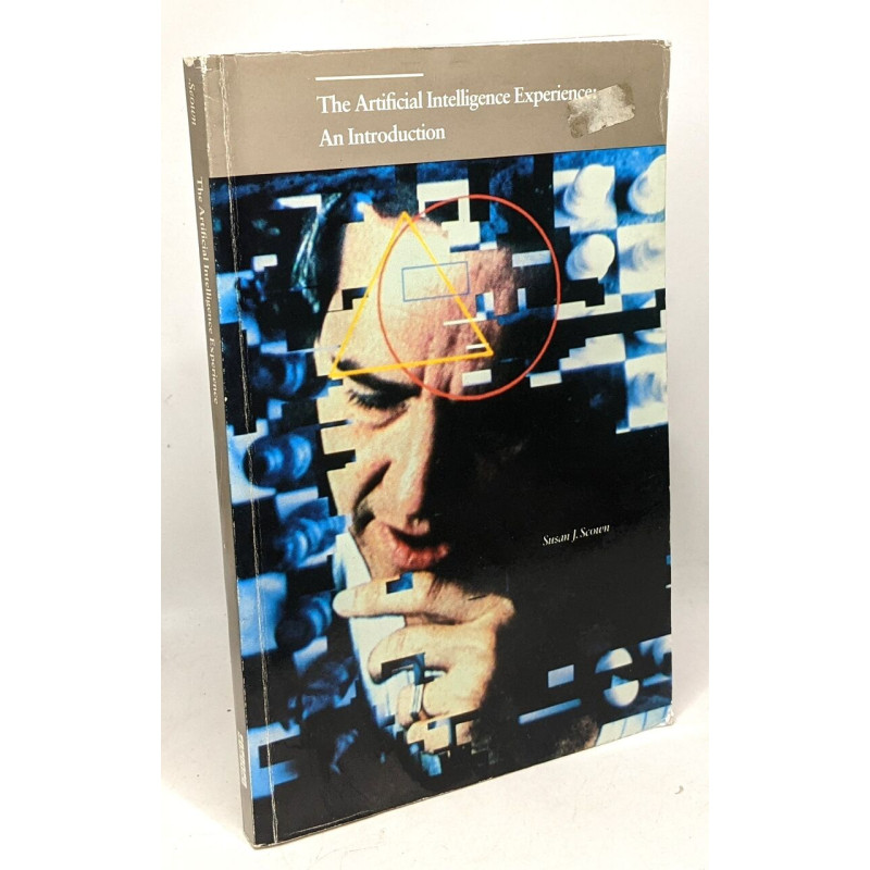 The artificial intelligence experience an introduction