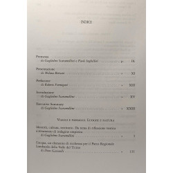Città regione territorio. Studi in memoria di Roberto Mainardi ---...
