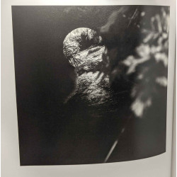 Danube - Hölderling | Coll. Diptyque
