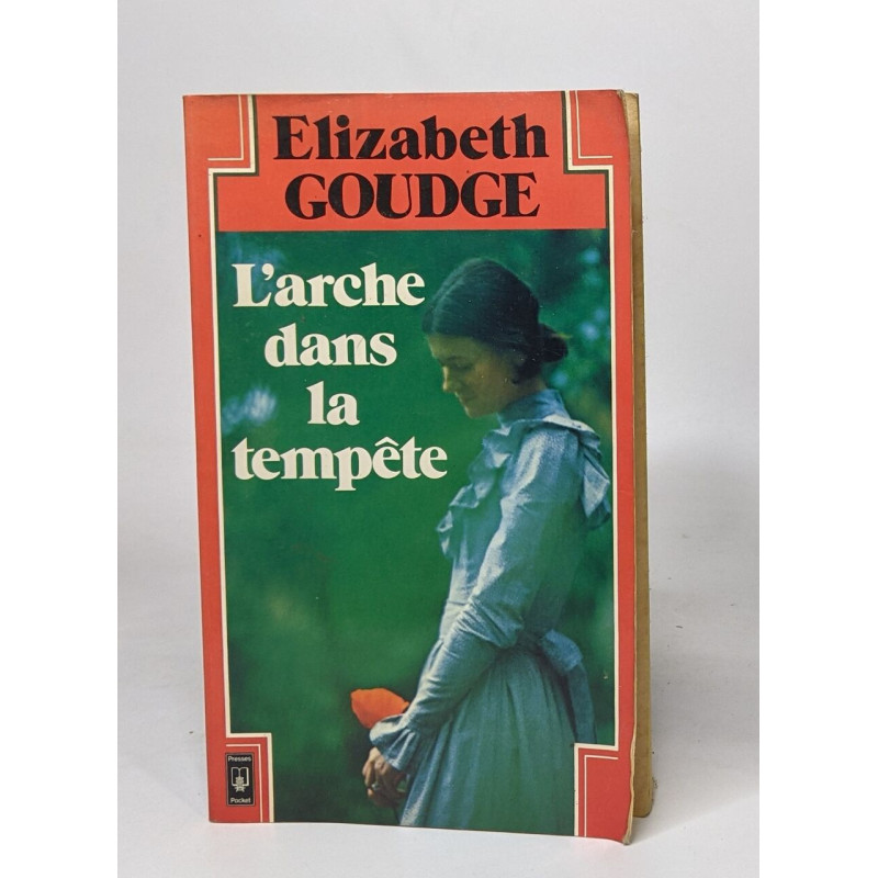 L'arche dans la tempête