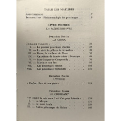Les longs cheminements - les pèlerinages de tous les temps et de...