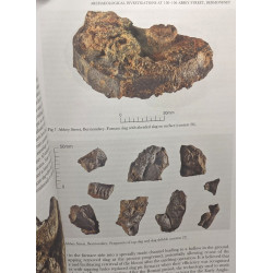 Surrey archaeological collection --- volume 97 - 2013