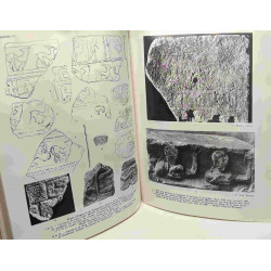 L'art primitif méditerranéen de la vallée du Rhône - nouvelle...