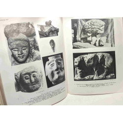 L'art primitif méditerranéen de la vallée du Rhône - nouvelle...