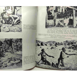 Du singe à l'ange - histoire sans façon de l'éthnographie