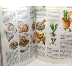 Humex Book of Propagation