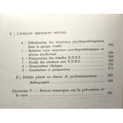 L'Enfant déficient mental : Approche dynamique (Le Fil rouge)