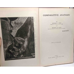 Comparative anatomy