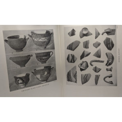 The last mycenaeans and their successors - an archaeological...