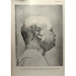 L'Egypte monumentale et pittoresque - notes de voyage par Camille...