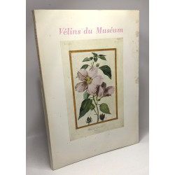 Vélins du muséum - peintures sur vélin de la collection du Muséum...