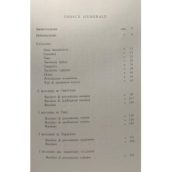 I buccheri con figurazioni graffite - istituto di studi etruschi...