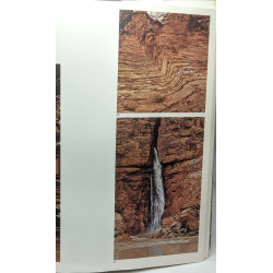 Grand Canyon Du Colorado Suite Pour Nature Et Faune En 157 Images