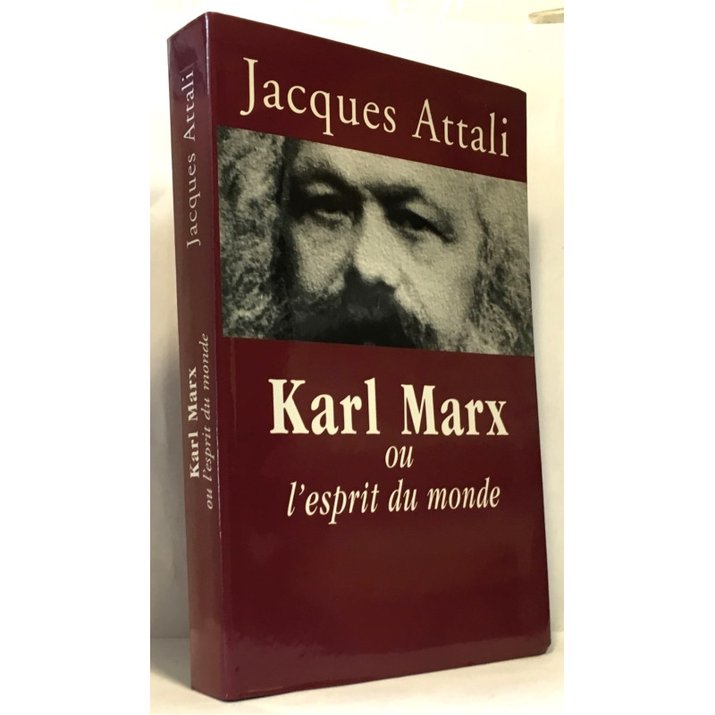Karl Marx ou L'esprit du monde : Biographie