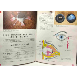 Anatomie physiologie hygiène - collection Ch. Désiré
