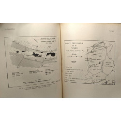 Symposium sur les gisements de fer du monde - TOME 1 + TOME 2 +...