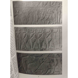 Domestic Plants and Animals: The Egyptian Origins
