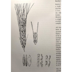 Domestic Plants and Animals: The Egyptian Origins
