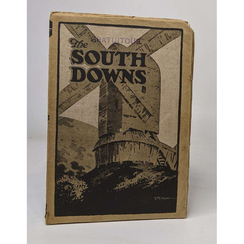 The south downs