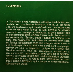 Tournaisis