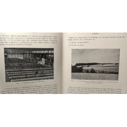 Maladies des volailles - manuel à l'usage des vétérinaires et des...