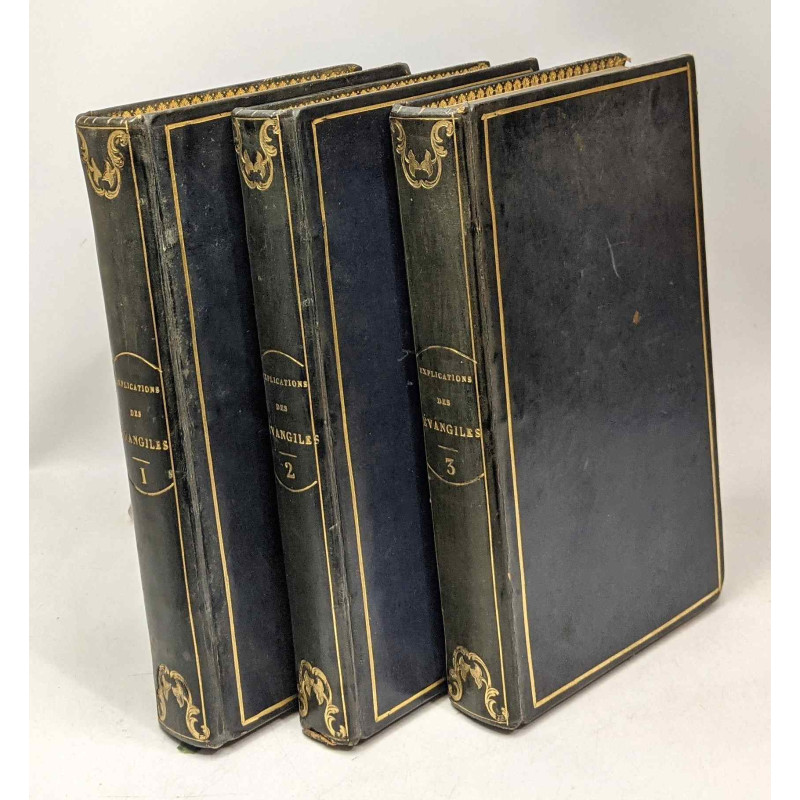 Explication des évangiles des dimanches et de quelques-unes des...
