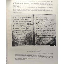 Die sternrune im wessobrunner gebet --- Amsterdam publikationen...