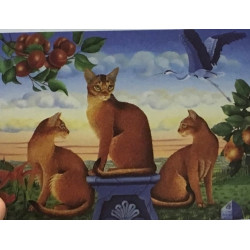 Histoires vraies d'animaux exceptionnels : Racontées par une...