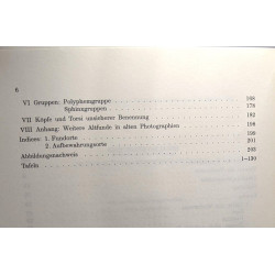 Die Skulpturen Von Ephesos Bildwerke Aus Stein: Idealplastik 1 /...