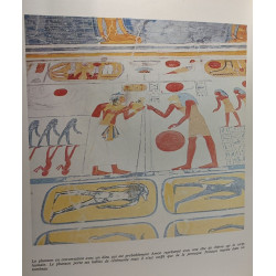 La civilsiation des pharaons - réalité et magie dans l'Egypte de...