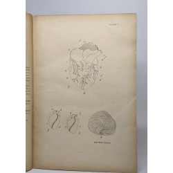 Atlas de dissections zoologiques - manuel de travaux pratiques