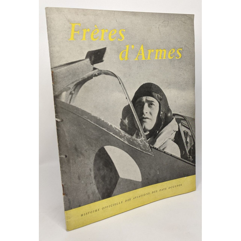 Frères d'armes - histoire officielle des aviations des pays occupés