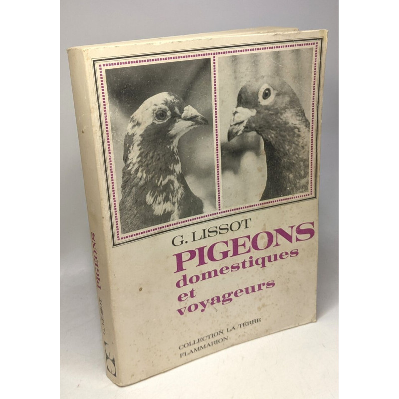 Pigeons domestiques et voyageurs