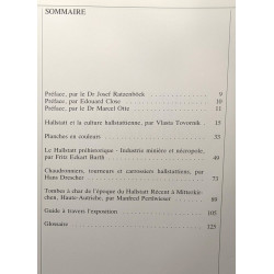 Hallstatt (700-400 av. j.-C.) à l'aube de la métallurgie ---...