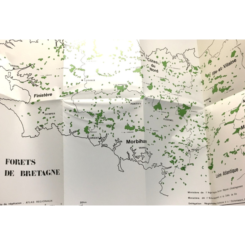 Forêt de Bretagne