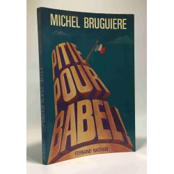 Pitié pour Babel - un essai sur les langues
