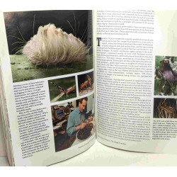National Geographic - 1991 (année complete 12 numéros de Janvier à...
