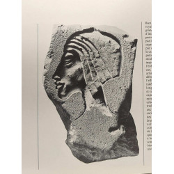 Le règne du Soleil Akhnaton et Néfertiti - exposition organisée...